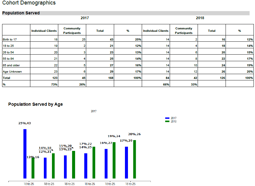 Example Demographics Report in Azure